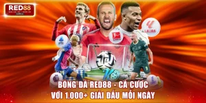 Bóng đá