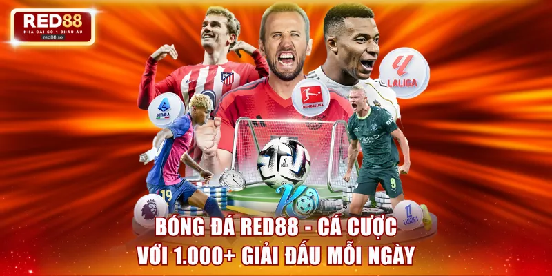 Bóng đá